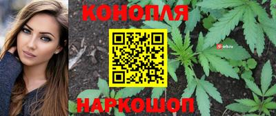 трава Краснодар