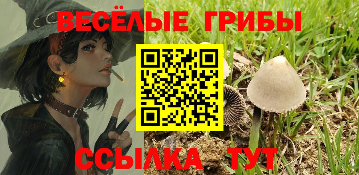 Галлюциногенные грибы мухоморы  Вход с VPN  Феодосия 