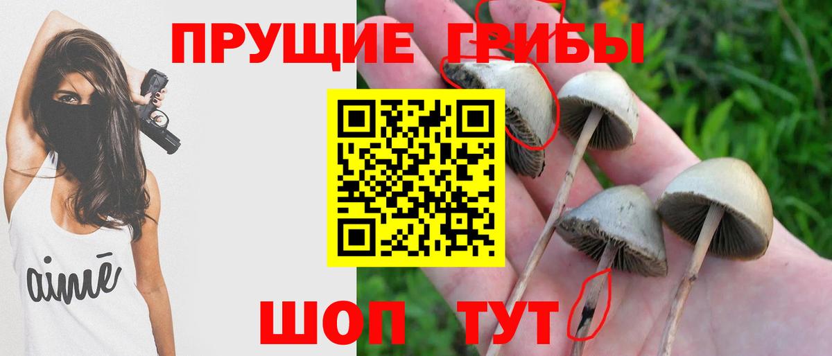 Галлюциногенные грибы ЛСД Феодосия