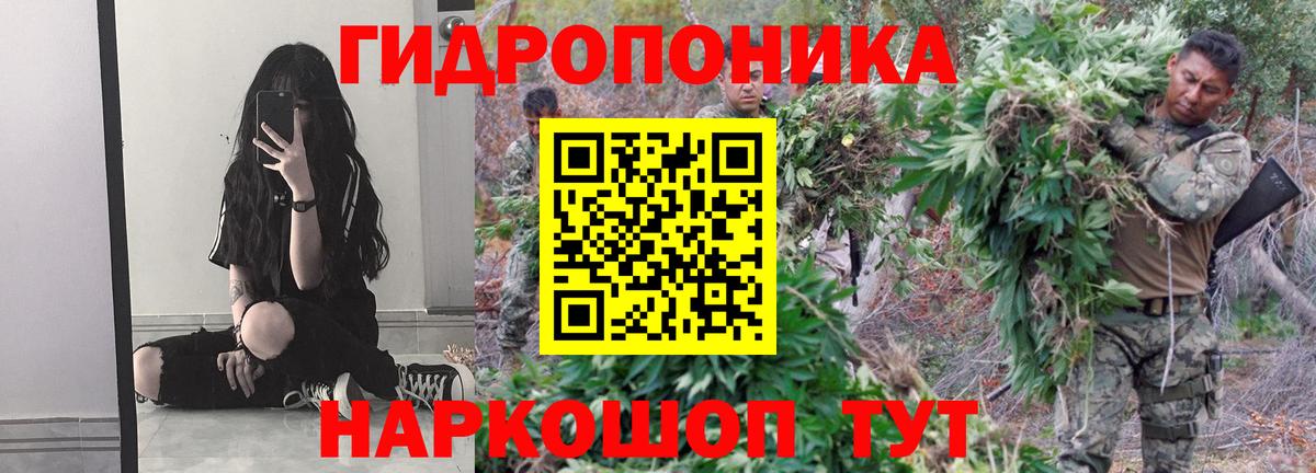 Бошки марихуана гибрид Феодосия